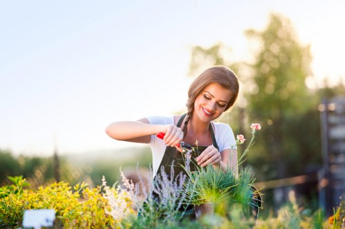 Eco-friendly lawn mowing practices in Mayfair