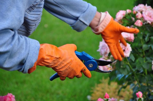 Sustainable gardening practices implemented in a Mayfair garden