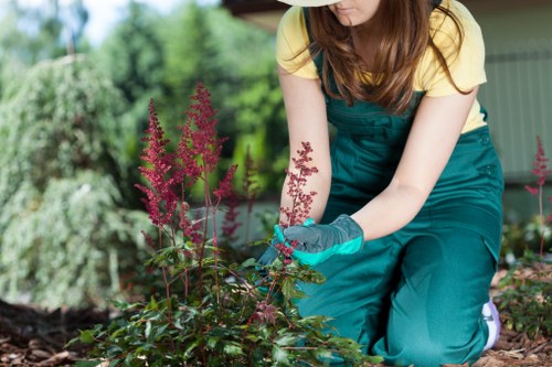 Close-up of gardening tools for Mayfair garden services