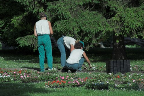 Expert landscaping services transforming a Mayfair outdoor space