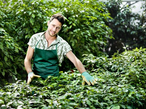 Lawn care specialist tending to a green lawn