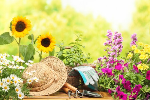 Beautiful selection of plants used in Mayfair landscape gardening