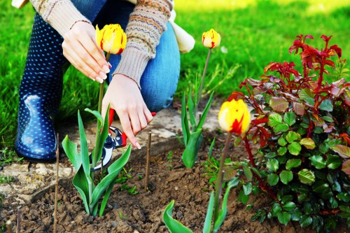 Elegant Mayfair garden feature created by our gardening services