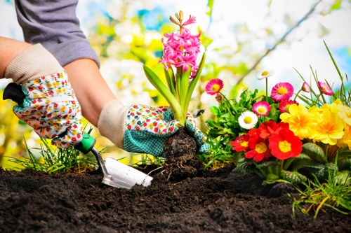 Professional team clearing garden debris in Mayfair