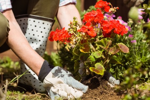Satisfied homeowner in a cleared Mayfair garden