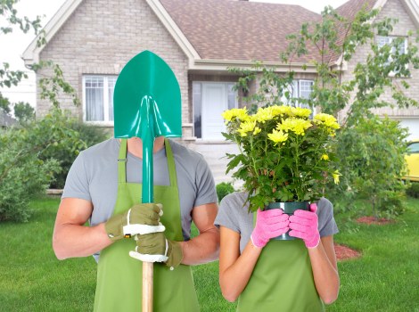 Mayfair garden maintenance tips