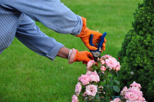 Professional landscaping services in Mayfair