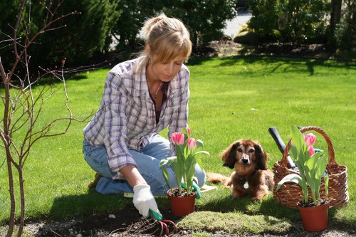 Staff member preparing accessible garden maintenance plan