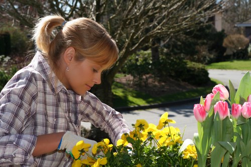 Professional gardeners maintaining a lush garden in Mayfair