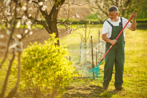 Healthy and vibrant Mayfair lawn maintained by experts